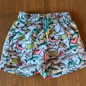 Kids Shark Print Shorts - Multicolor
